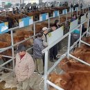 영등신일@경로당 이미지