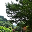 안성공원석조광배 이미지