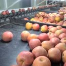 제일물산 이미지