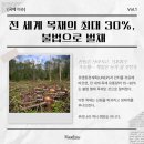 우리교역 | 합법목재교역촉진제도 완전 정복! 서포터즈가 알려주는 모든 것 (feat. 한국임업진흥원)