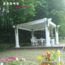 오해피팜 네이버블로그