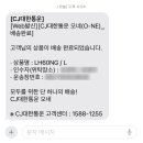 레디션