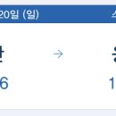나들이손칼국수