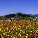 황산문화체육공원 이미지