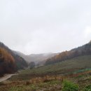 민가농장 이미지