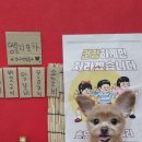 멍블리 펫 이미지