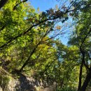 하얀이불 이미지