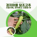 검지몰