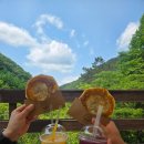힐링(만인산) | [대전/동구] 만인산 자연휴양림 속, 달콤한 힐링 한 입! 🍯 봉이호떡 리뷰