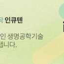 웰 빙라이프