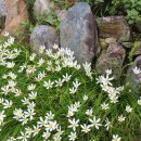 개실마을_1 이미지