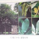 부덕농장 이미지