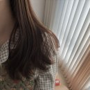 로지헤어 - 안동시 | 로지헤어