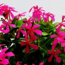 우리화원 이미지