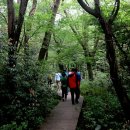 제주시크릿가든 이미지