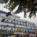 죽곡제일정형외과의원 | 러너들의 성지 남정형외과 예약 무릎통증 진료후기 (실비가능)