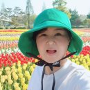 주식회사 위드쿡 이미지