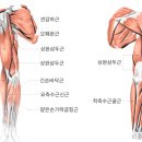 바니짐PT 이미지