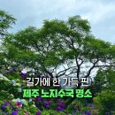 동광리-7 이미지