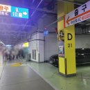 [펫박람회] 2022 케이펫페어일산 관람후기(ft.이벤트 및 참관업체 리스트)