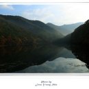 주산지공용버스터미널 이미지