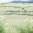 김진수농장 이미지