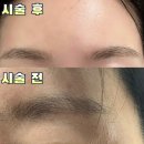차윤 왁싱 | [마곡 브로우바 추천]차윤왁싱 마곡점에서 눈썹 왁싱으로 인상 확 바꾼 후기