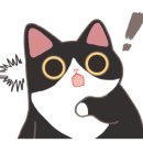 벨홉 이미지