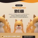 로티플PC방 이미지