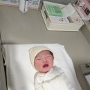 파티마여성병원 이미지