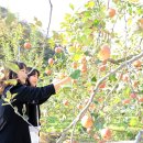 현모농장 이미지