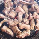 바다산꼼장어 이미지