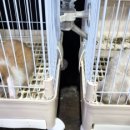 단짠아쿠아 삼천점 이미지