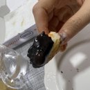 [김포 맛집] 피자 한 판 가격으로 2종류 먹기! ‘고피자(GoPizza)’ (feat. 고피자 창업스토리, 내돈내산)
