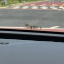 루트콤마 이미지