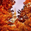 터미널 안경 이미지