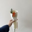 꽃해요 이미지