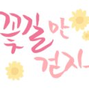 금다래산장 네이버블로그