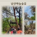 씨유 남산이편한점 | 남산하늘숲길 코스 서울역 출발 남산산채집까지 산책 후기