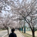 노빌 이미지