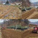 진식농장 네이버블로그
