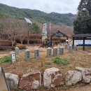 깃대봉_숲길(등산)1코스 | 블랙야크 100대명산 24좌 팔영산 - 8봉암릉 안넘고 깃대봉 정상만