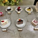 부산 사상 크리스마스 트리 카페 저녁마다 눈 내리는 포토존 천국 ‘오르디’