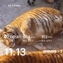 학연 | Messy Messy Messy