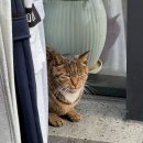 씨유 청주사창현대점 | [청주 1박 2일 여행 코스] 맛집·카페·숙소까지 완벽했던 코스 총정리