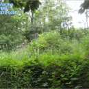 광명리마을회관 이미지