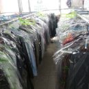 법원세탁소 이미지