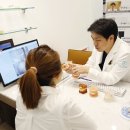 연세하이치과의원 이미지