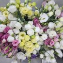 칠갑산마트 이미지