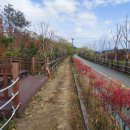 전남도립미술관 화장실 이미지